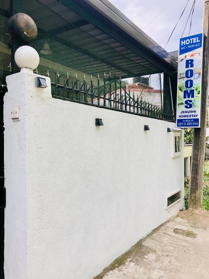 Jenushi Homestay 康提 外观 照片