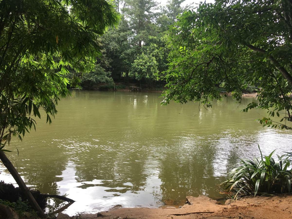 Jenushi Homestay 康提 外观 照片