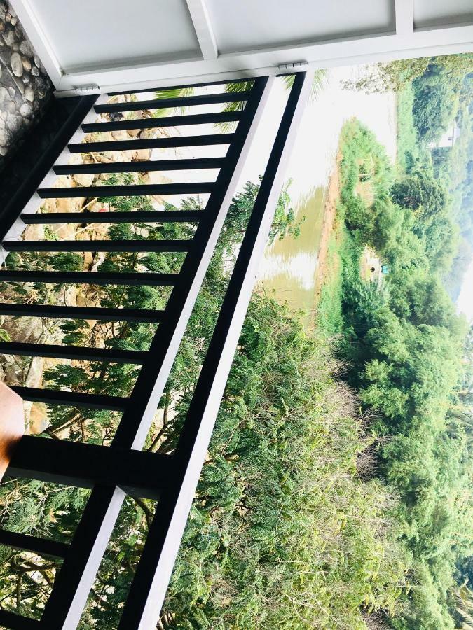 Jenushi Homestay 康提 外观 照片