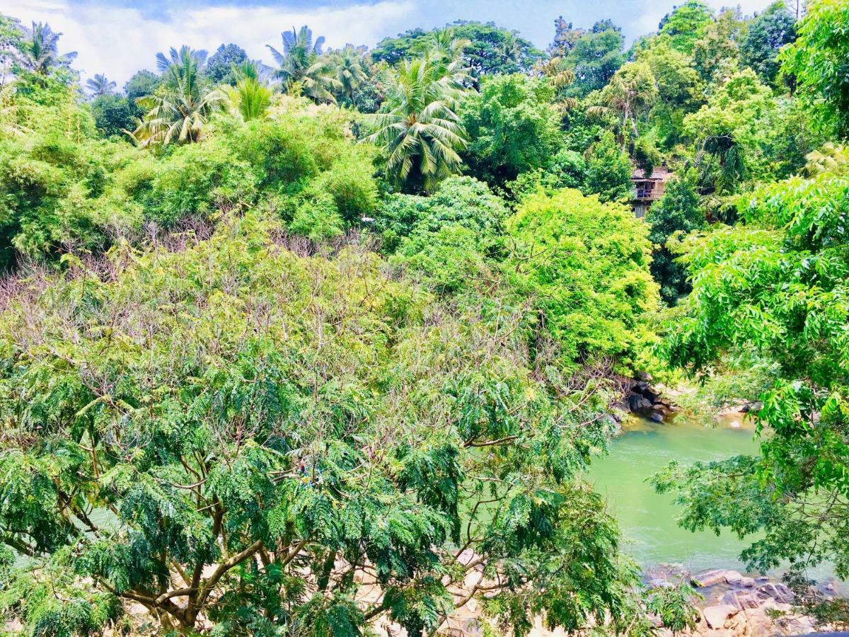 Jenushi Homestay 康提 外观 照片