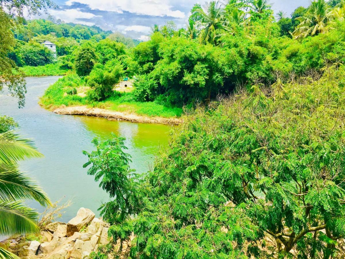 Jenushi Homestay 康提 外观 照片